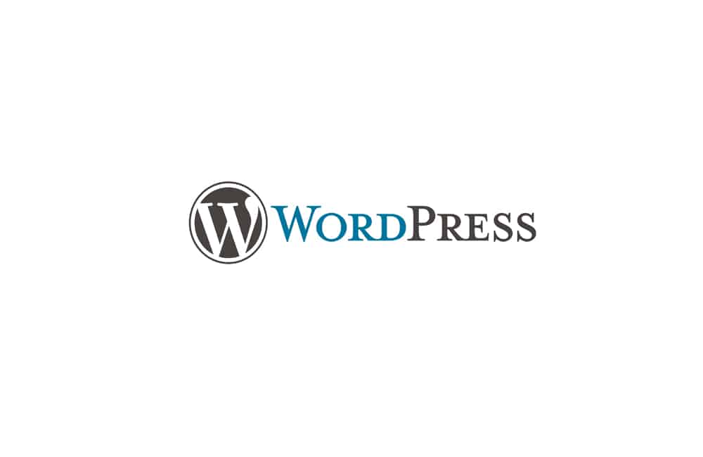 Why hire wordpress developer for blog site?